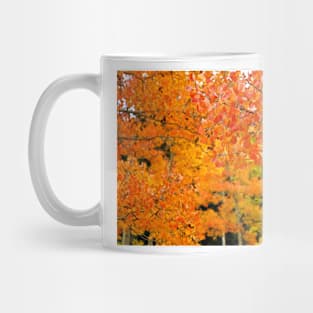 Colorado Aspens Study 34 Mug